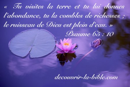 Les richesses de Dieu